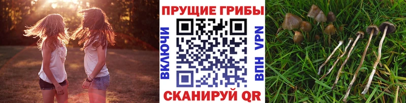 Псилоцибиновые грибы GOLDEN TEACHER Арсеньев